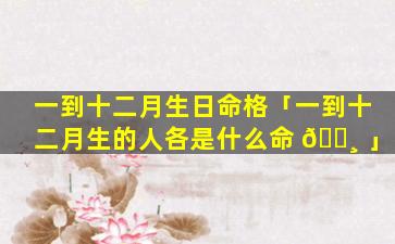 一到十二月生日命格「一到十二月生的人各是什么命 🕸 」
